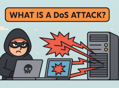 What is a DoS Attack