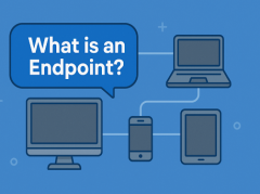 What is an Endpoint